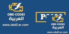 P0199 شرح كود